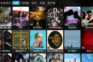 【隐盟亲测VIP影视软件】最近抖音上挺火的影视收费APP，支持高清4K，隐盟会员特供啦！！！